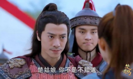 电视剧楚乔传,乱世佳人，逆袭之路